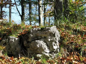 Burgruine Schellenburg