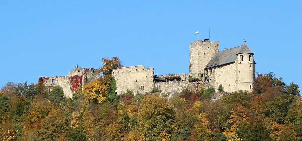 Blick vom Nordhang des Plabutsch zur Burgruine Gösting, Graz