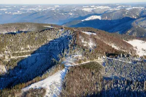 Schauinsland (Landkreis Breisgau-Hochschwarzwald)