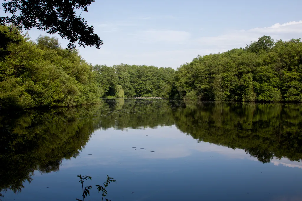 Feldungelsee