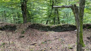 Smilův Castle