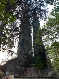 Saint Athanasius Church, Vranya