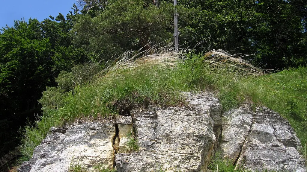 Finkenstein