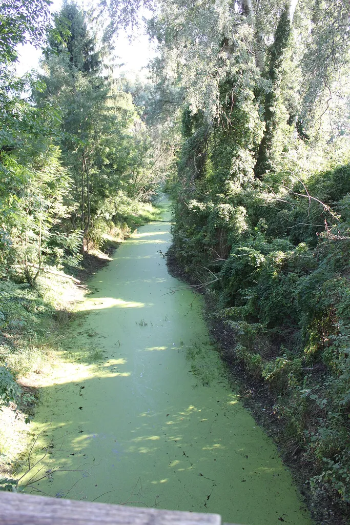 Fadenbach