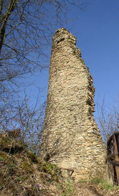 Ruine Brunkenstein