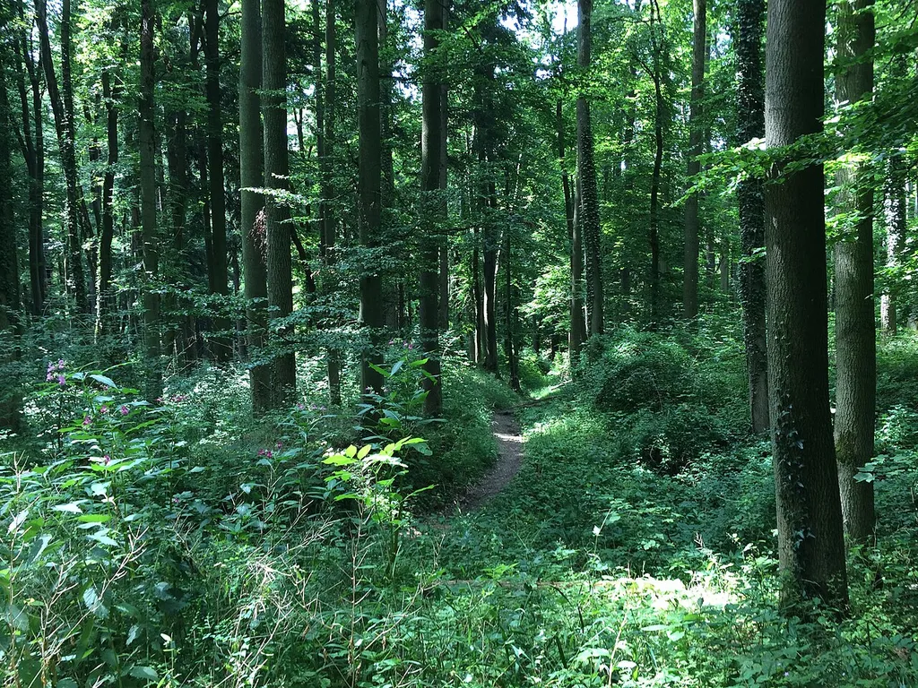 Site of the former Gegenpoint Castle near Fürstenfeldbruck