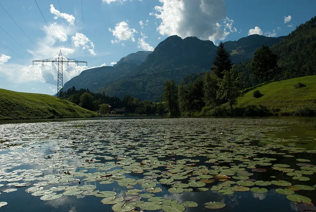 Krummsee