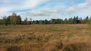 Hühnerfeld