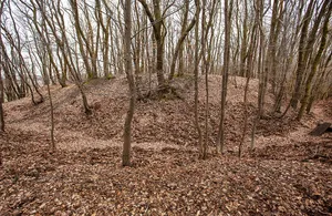 Burg Holtrup