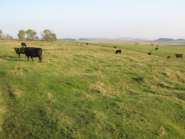 (The site of) Milecastle 32