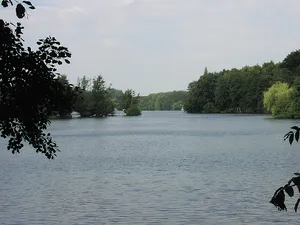 Hariksee