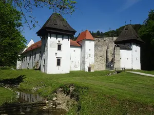 Žiče Charterhouse