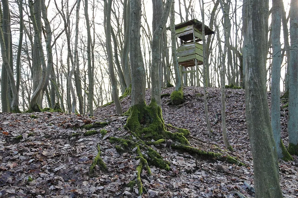 Burg Seelbach