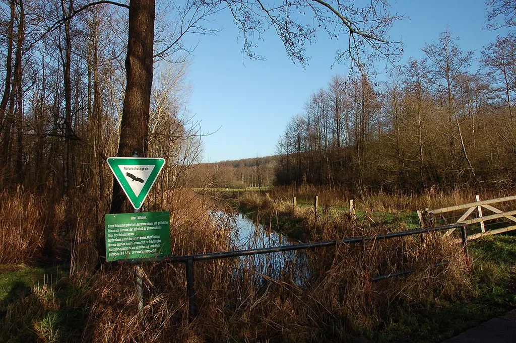 Ehemaliger Fuhlensee