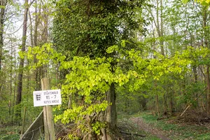 Jagsttal bei Schöntal und Klosterwald