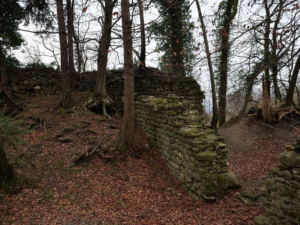Heuberg Castle Ruin