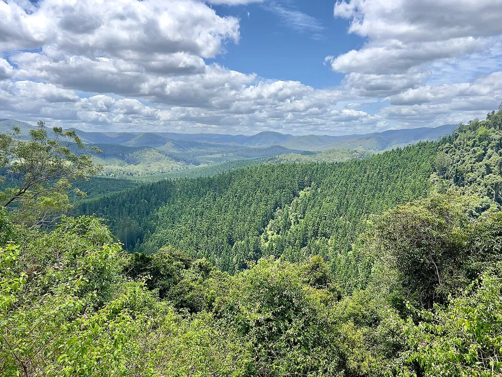 Conondale National Park
