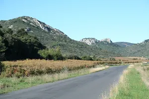 Castle of Cabrières