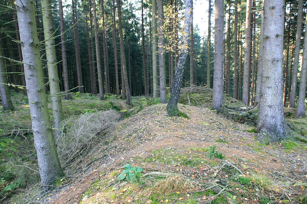 Wallburg auf dem Bollberg