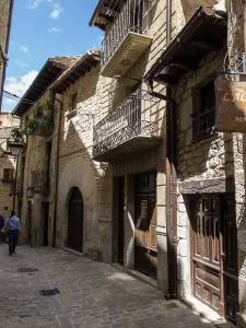 Sos del Rey Católico