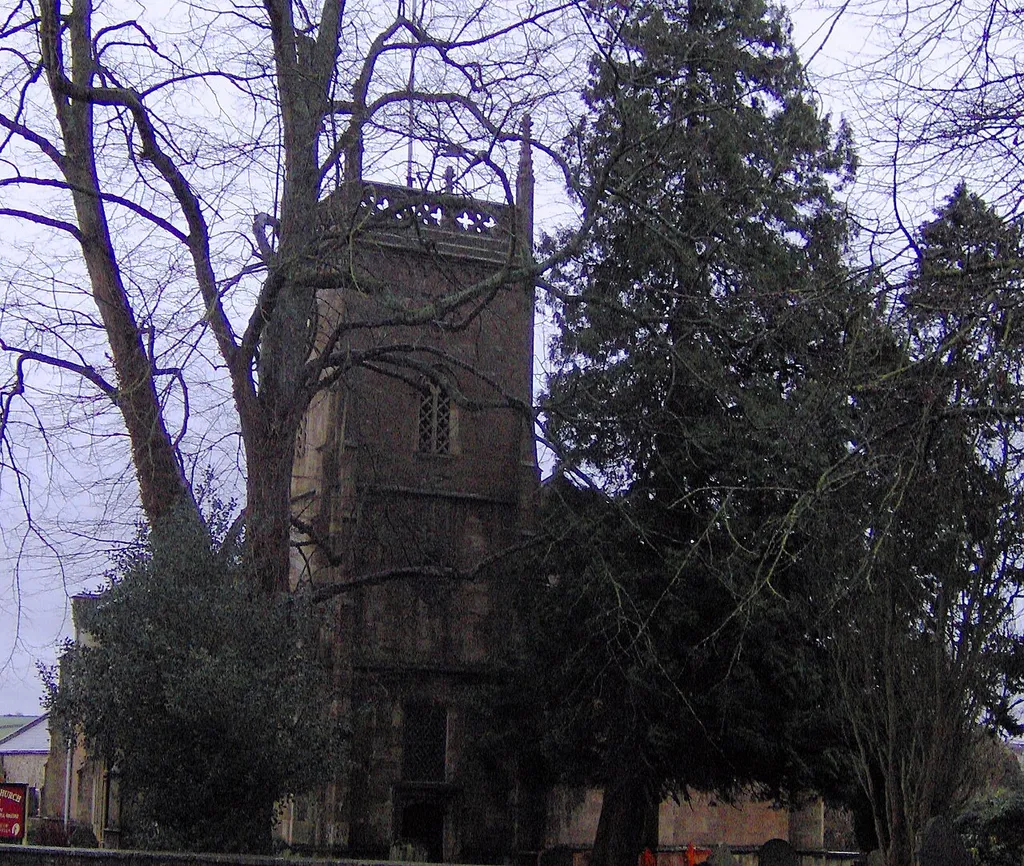View through trees at Paulton, Somerset, to the west tower of Holy Trinity parish church