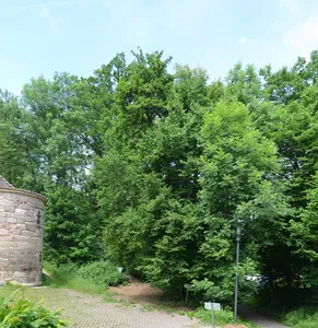 Baumbestand am Klostereingang
