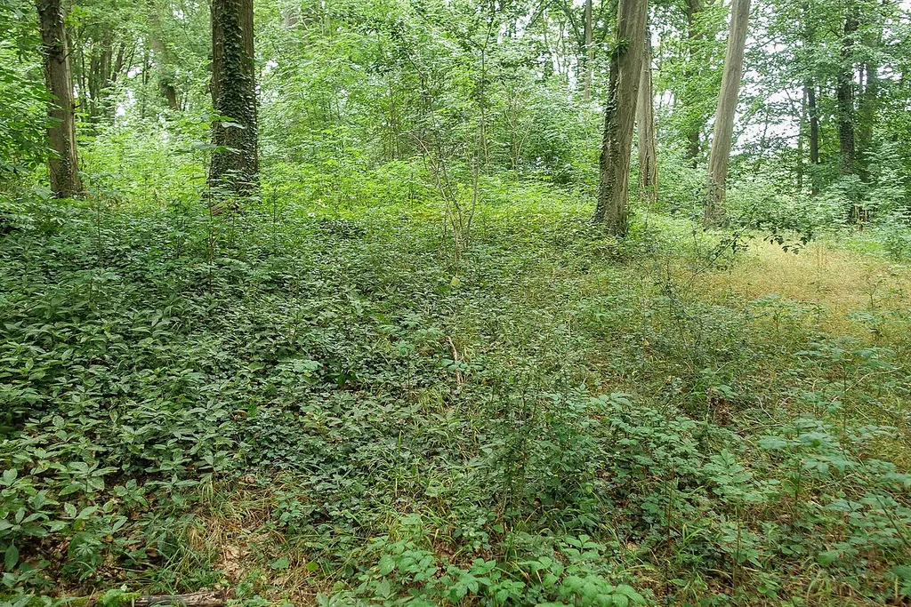 Der Mauerschuttwall im Osten der Madeburg