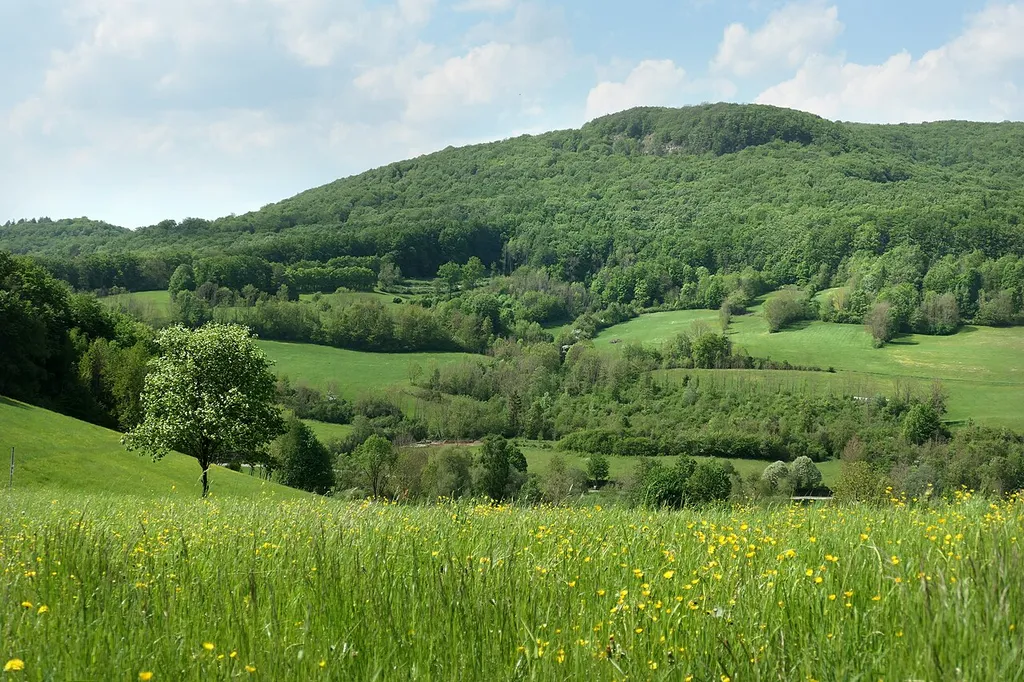 Hessische Schweiz bei Meinhard