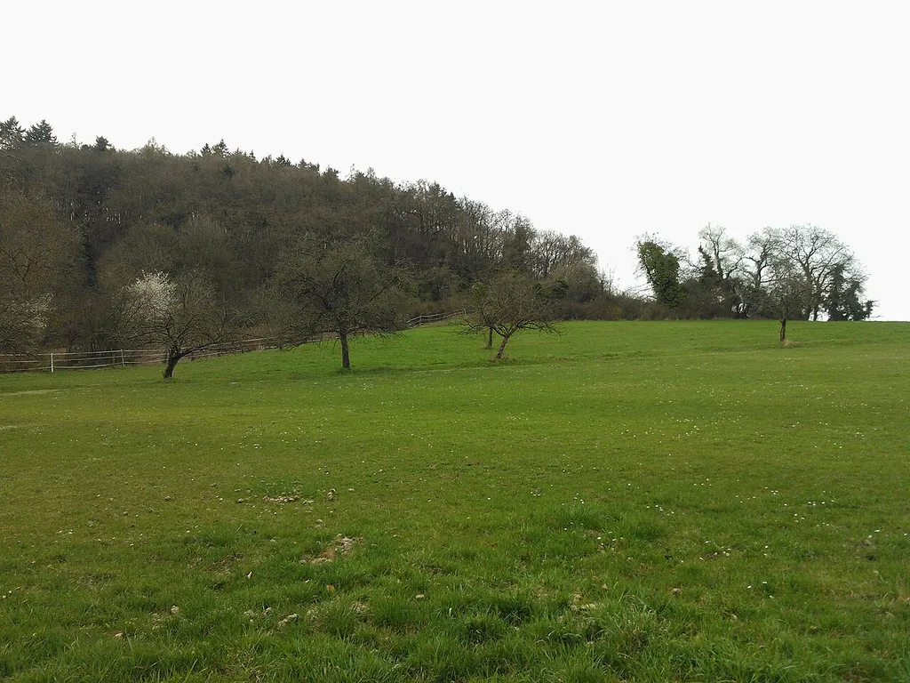 Alte Burg