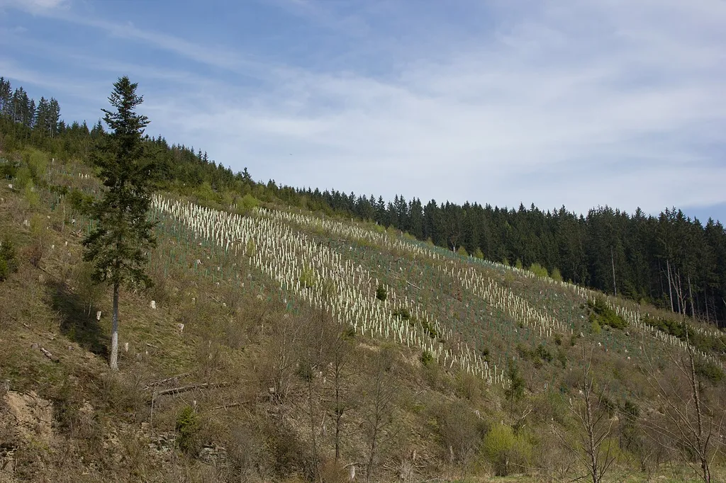LSG Frankenwald im Gebiet der Landkreise Hof, Kronach und Kulmbach