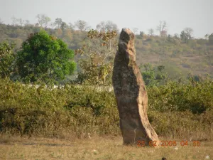 Nagbhid