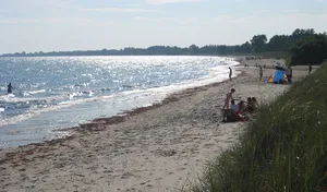 Mossbystrand