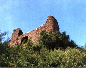 Burg Montfort