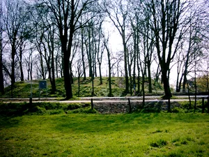 Burg Alpen