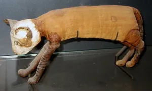 Bubasteion of Saqqara
