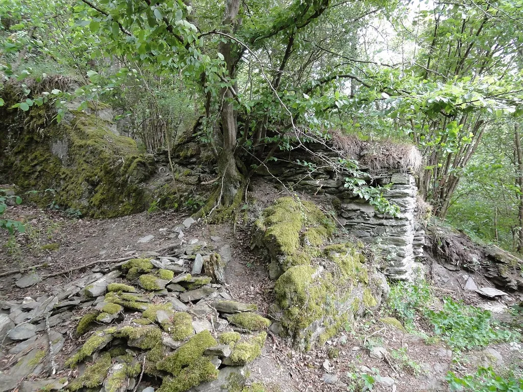 Mauerwerksreste an der Ruine Greifenstein bei Hohenstein