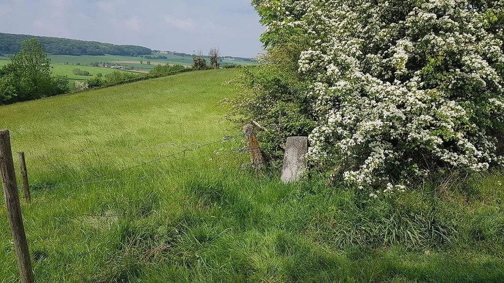 Belgium-Netherlands boundary stone no. 12a