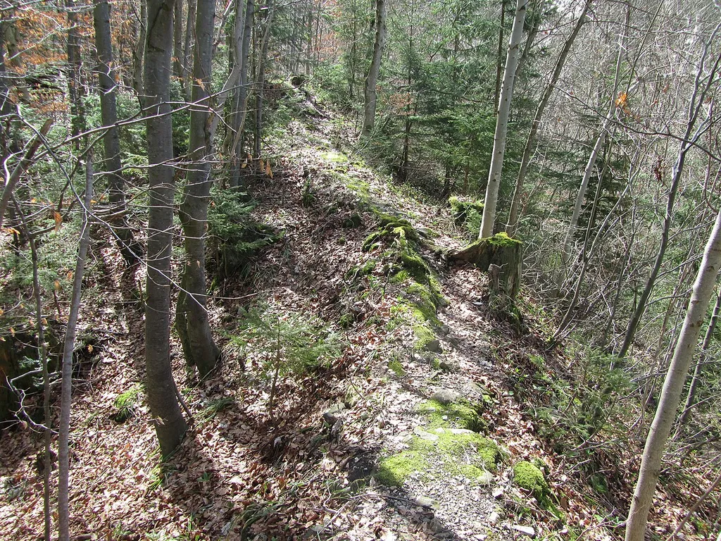 Burgruine Wildenegg (Wildeneck)