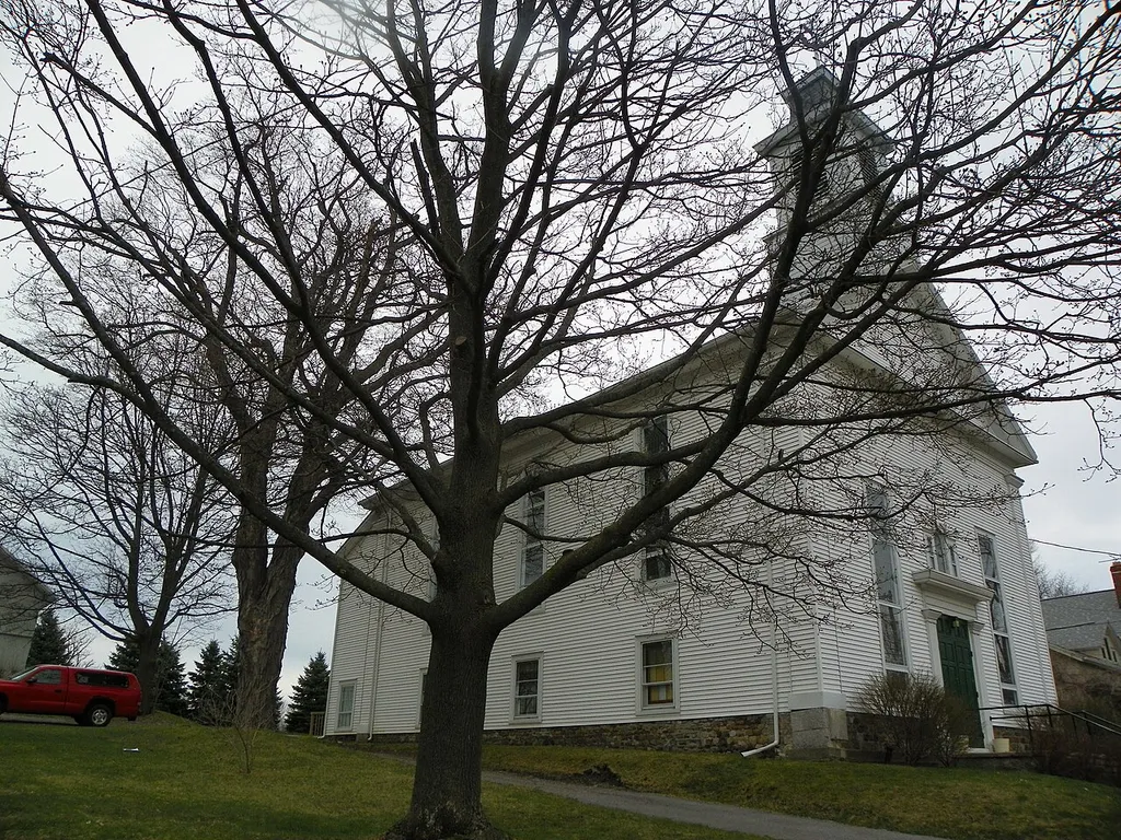 Livonia Baptist Church High Street, Livonia NY