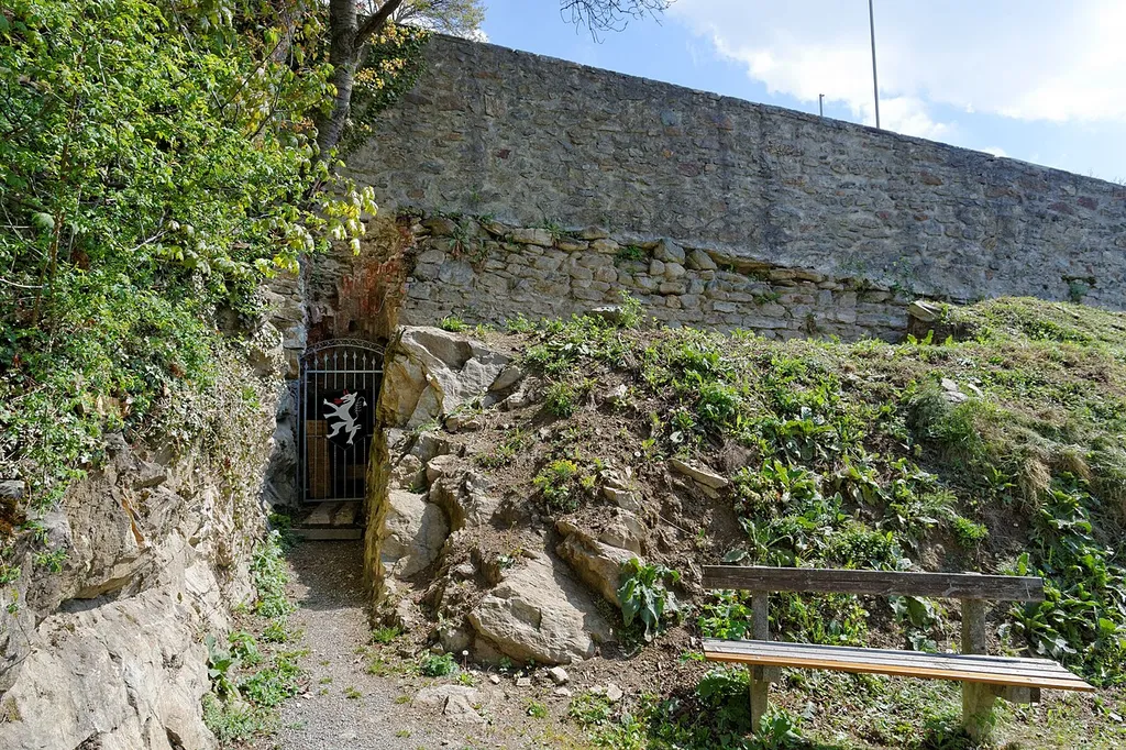 Castle ruin in Friedberg, Styria, Austria