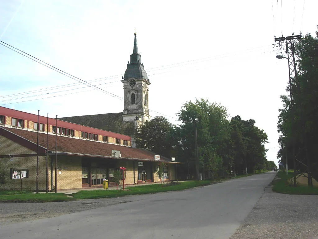 The Orthodox church in Tomaševac.