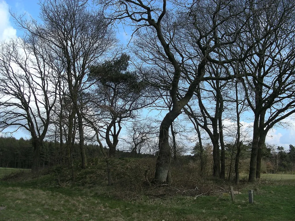 Hünenbetten von Daudieck