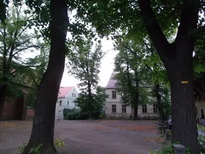Naturdenkmal [[Linden (Gattung)|Linde]]-[[Sommerlinde]] (''Tilia platyphyllos'') Klosterplatz in Mitte