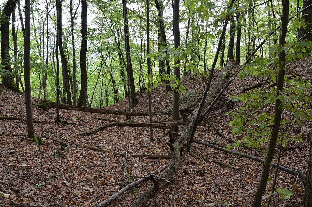 Alter Stolberg – Karstwanderweg, Graben eines Burgstalls