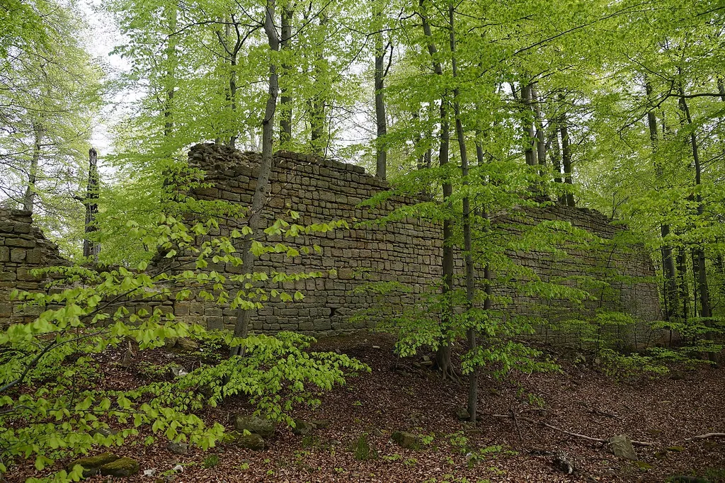 Reste der westlichen Wehrmauer der Burgruine Rabenswalde