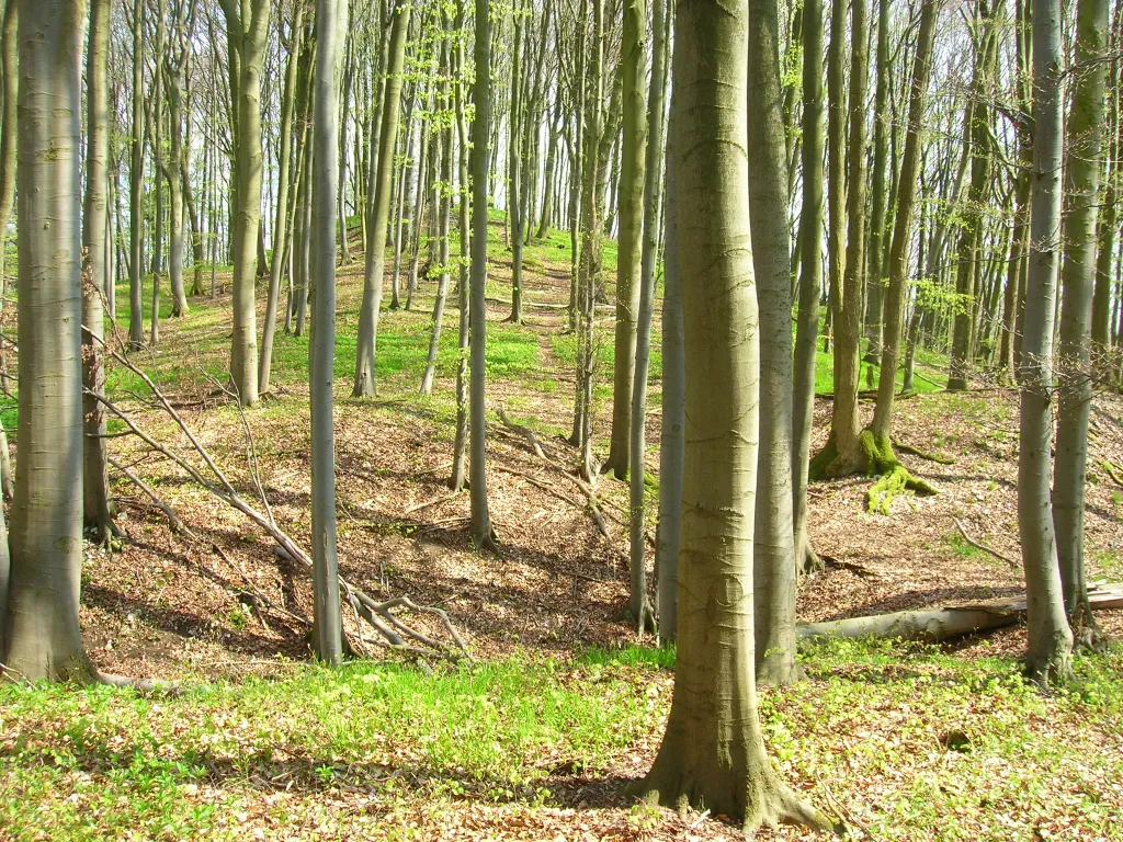 Burgstall Kleiner Hansgörgel