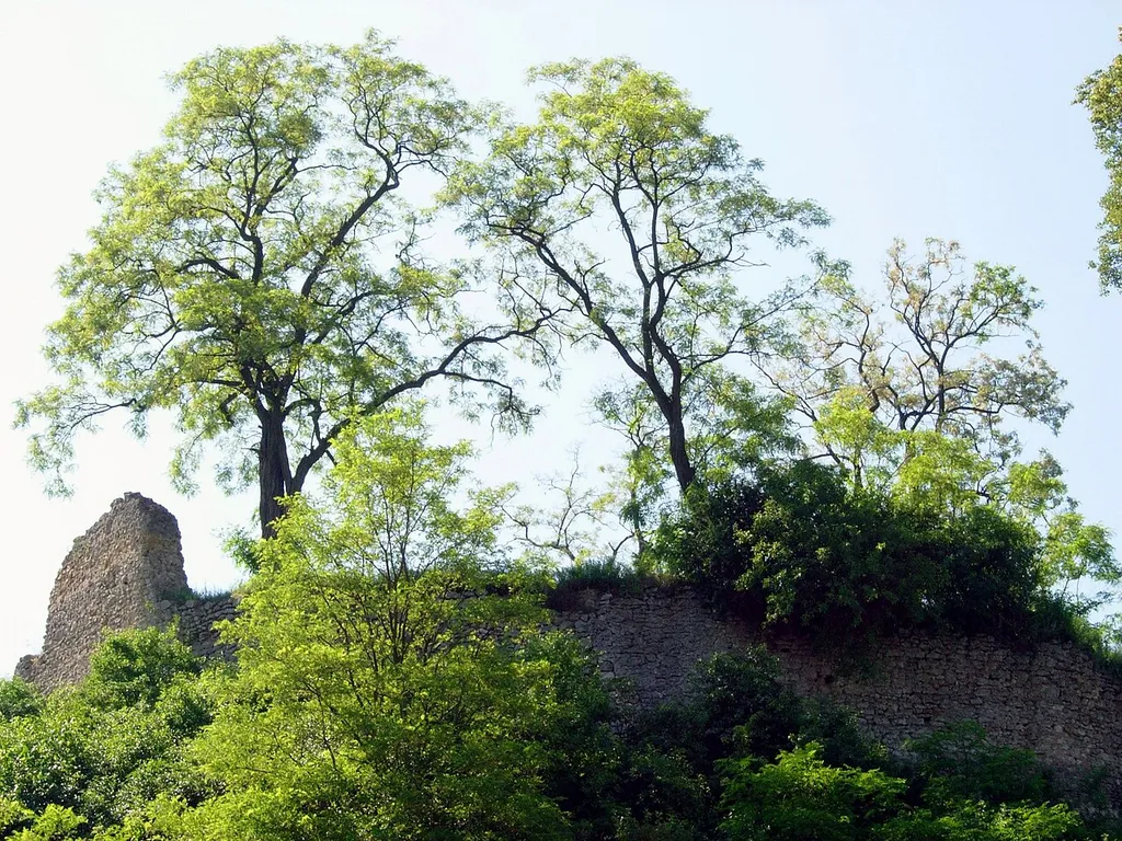 The ruins of the castle in Podgrodzie, Poland
