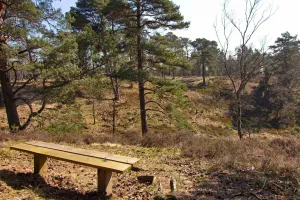 Borstel in der Kuhle