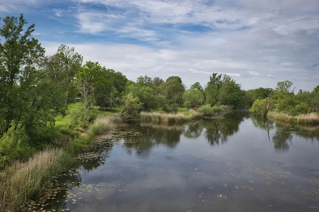mittlere Elbe bei Schönebeck
