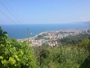 Görele